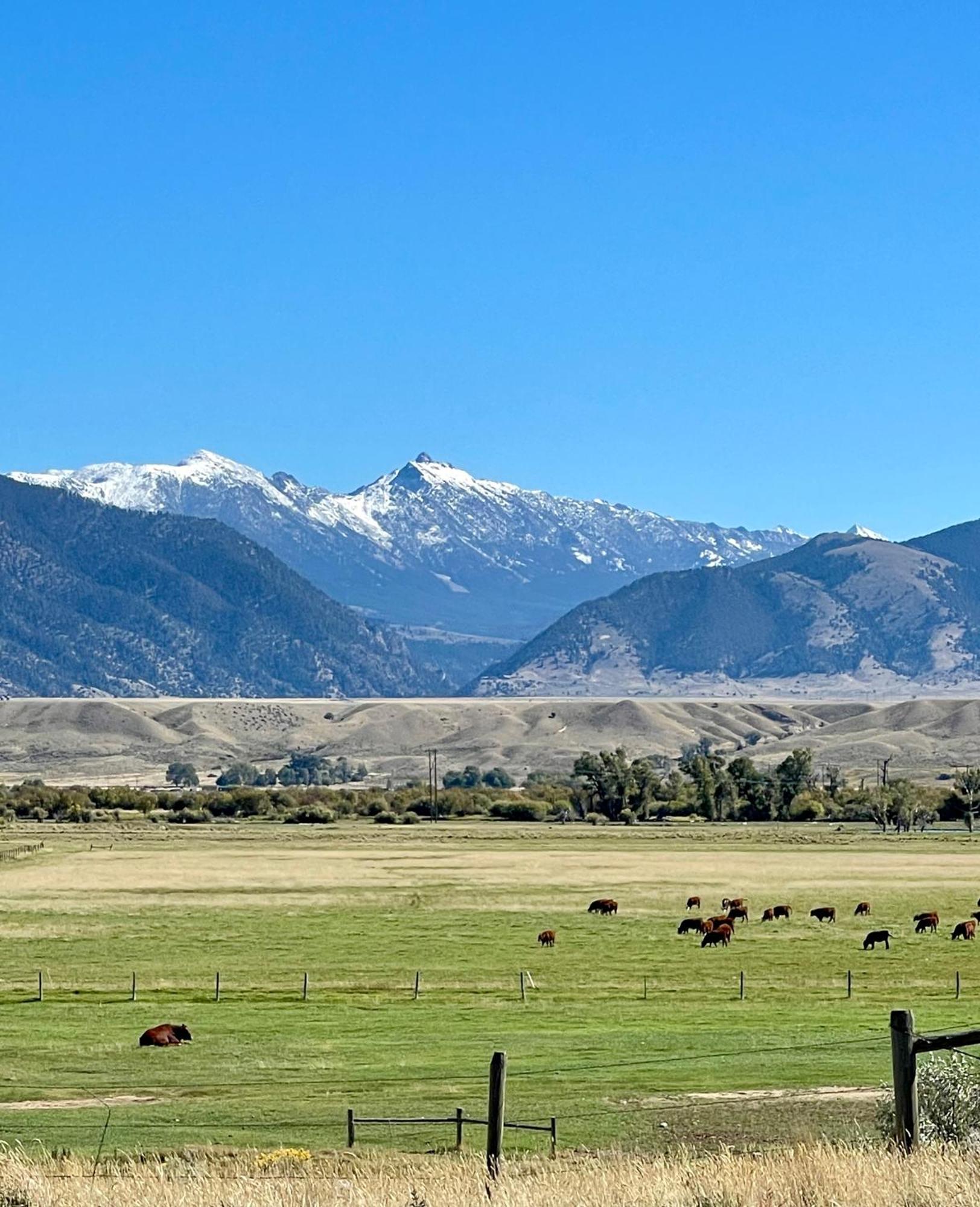 Mountain View Retreat Holiday home